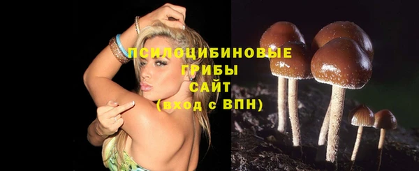 экстази Арсеньев