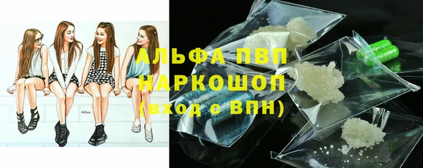 гашик Алзамай