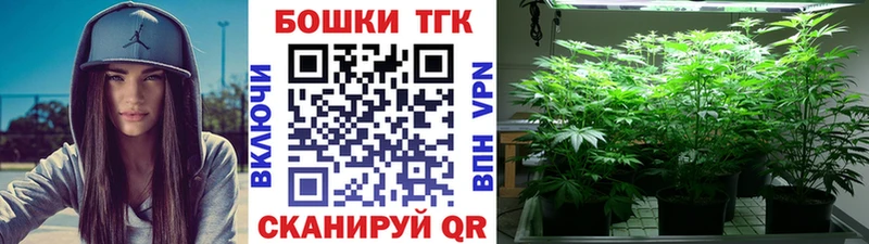 дарнет шоп  Волгоград  Шишки марихуана конопля 